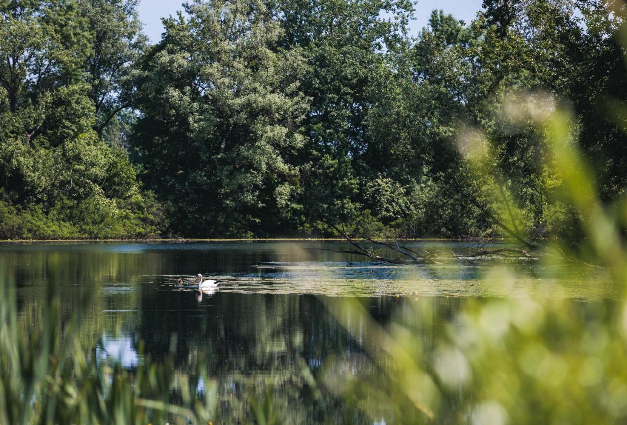 Rajski Vrt - Lake House - Paradise Garden Sisak Exterior photo